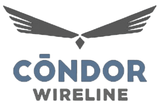 Logo Cóndor
